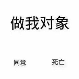 杨朵照片